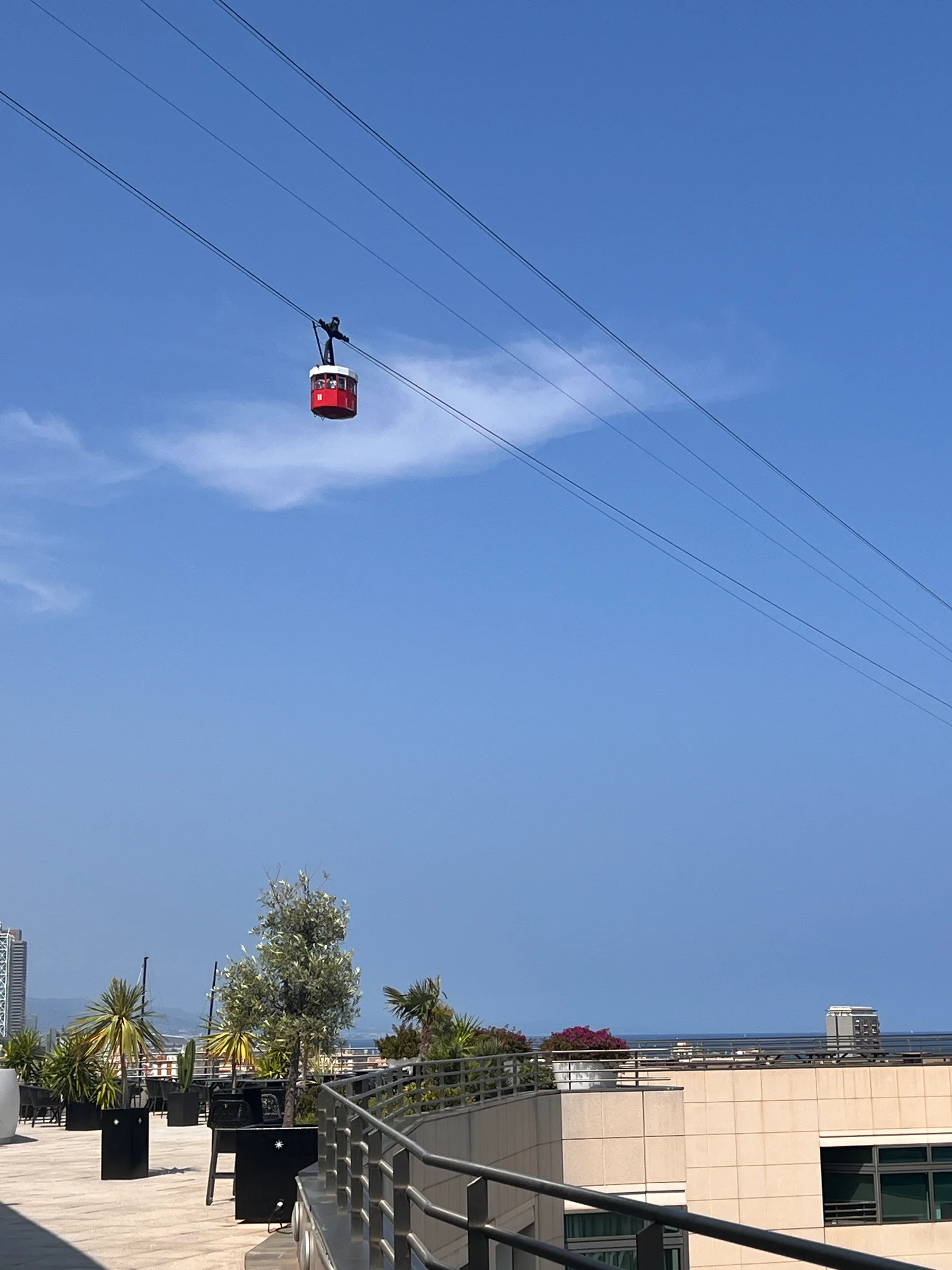 Seilbahn über dem Hafenbecken, davor Palmen und Segelboote