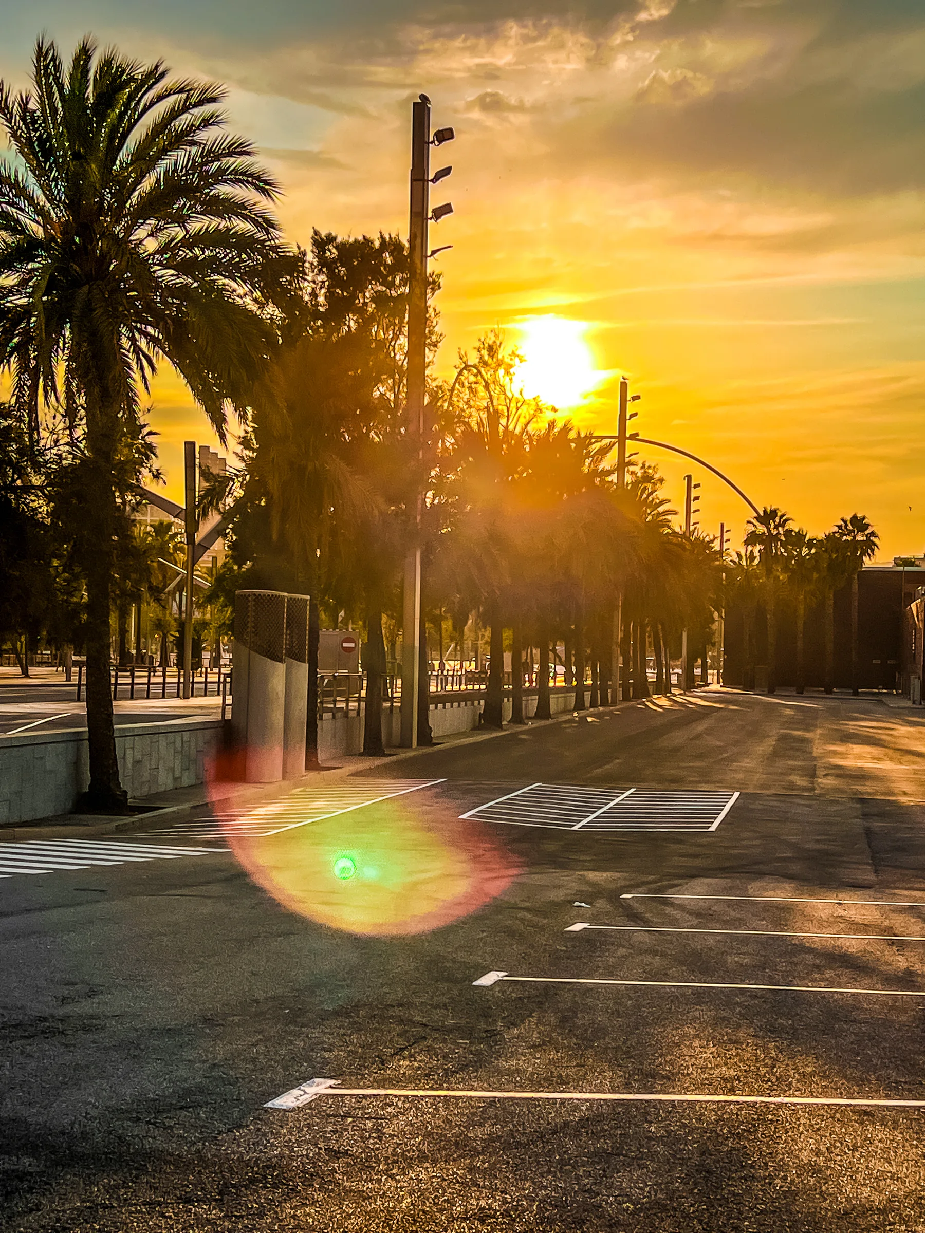 Sonnenuntergang über der Hafenpromenade mit Palmen
