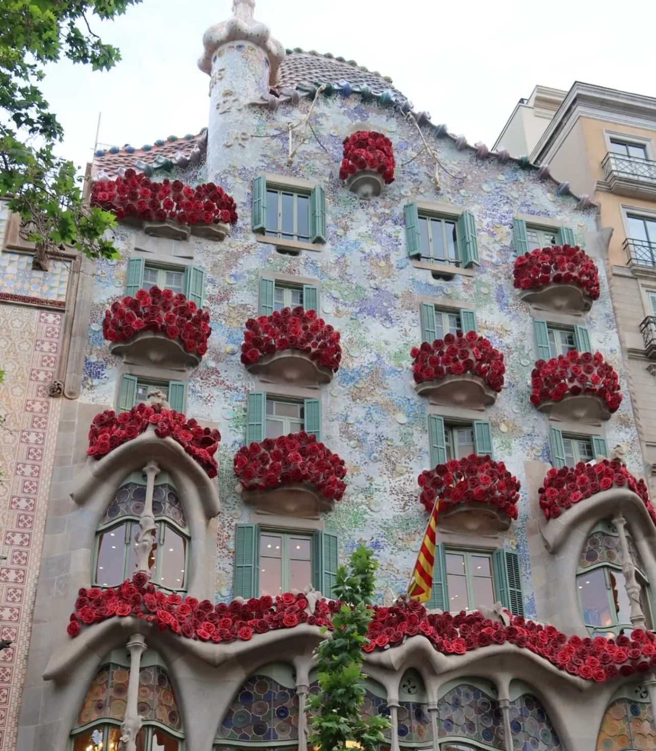 Die Fassade der Casa Batlló mit roten Rosen im Vordergrund