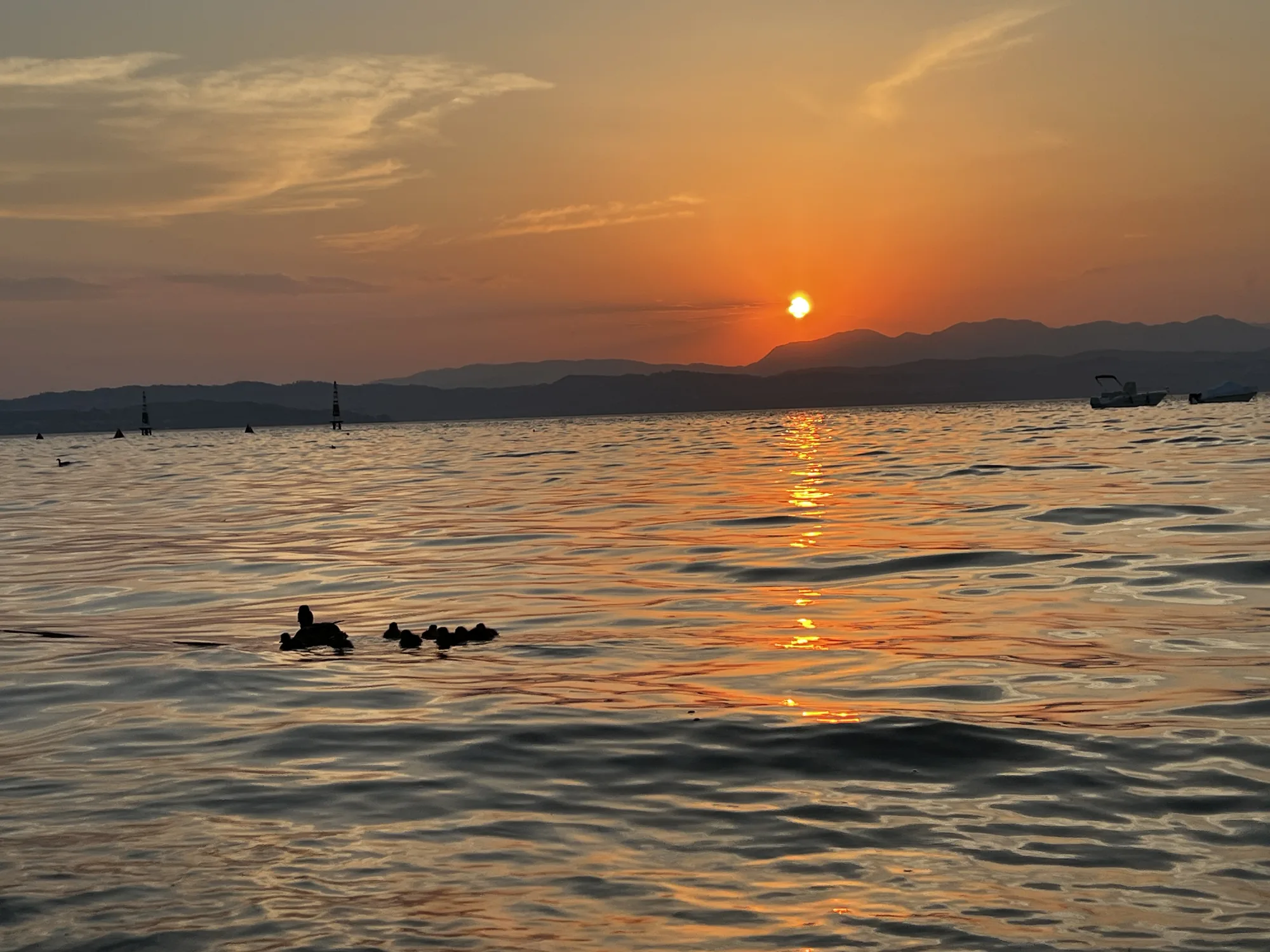 Sonnenuntergang über dem Gardasee mit Enten auf dem Wasser